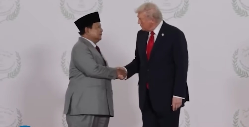 Impor Induk Ayam Amerika Disorot, Harga Rp500 Ribu per Ekor Picu Perdebatan