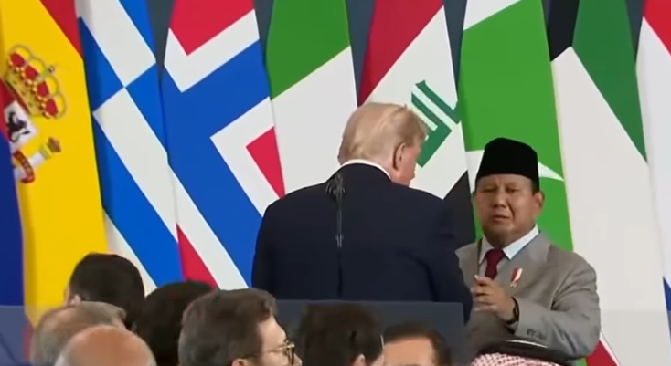 Impor Induk Ayam Amerika Disorot, Harga Rp500 Ribu per Ekor Picu Perdebatan